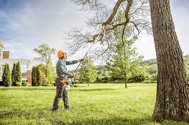 Best Storm Damage Tree Cleanup  in Atkins, VA